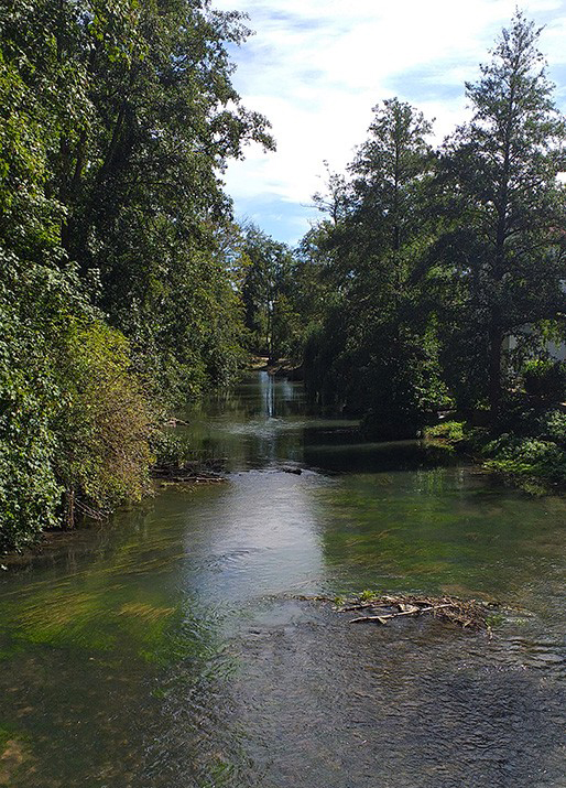 Brie-et-deux-morin-rivière-web-02